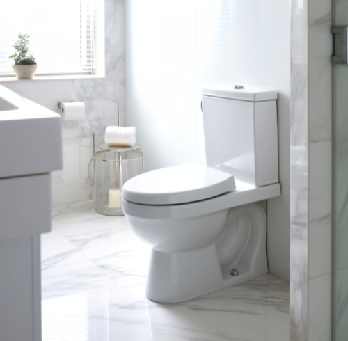 papel higiênico no vaso